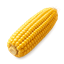 alternate text