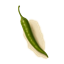 alternate text