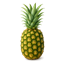 alternate text